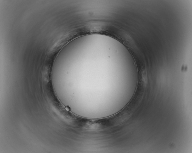 X0000114000311200910021322