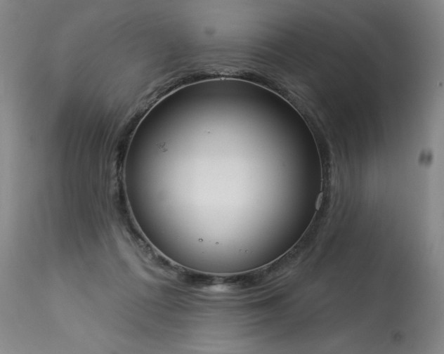 X0000114000312200910021322