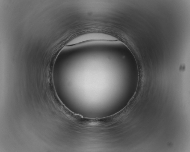 X0000114000313200910021322