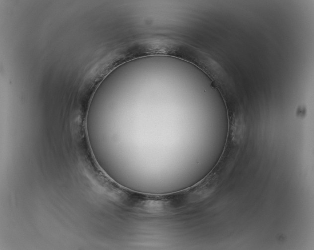 X0000114000314200910021322