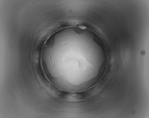 X0000114000315200910021322