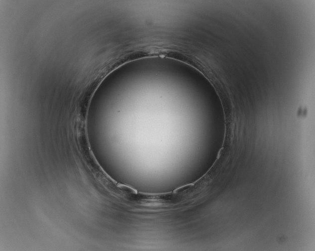 X0000114000316200910021322