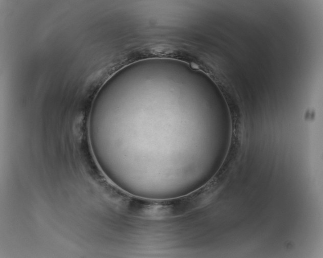 X0000114000319200910021322