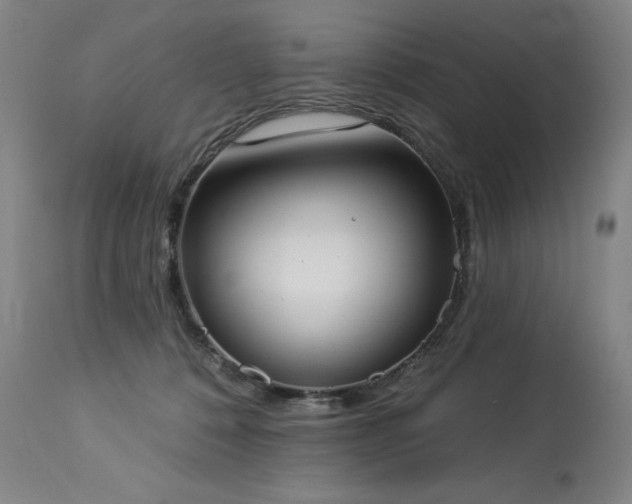X0000114000320200910021322