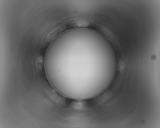 X0000114000321200910021322