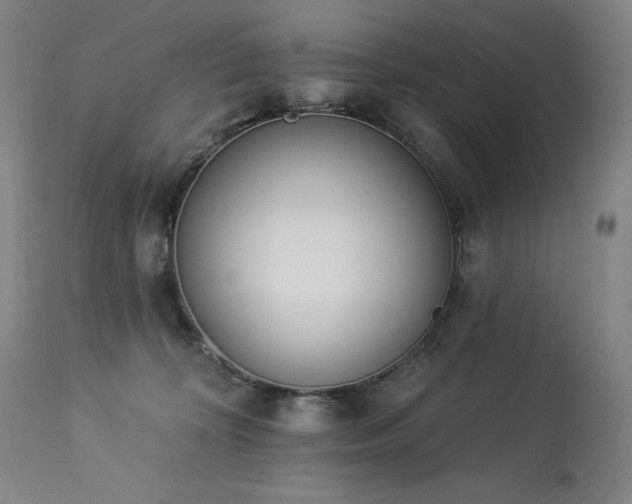 X0000114000324200910021322