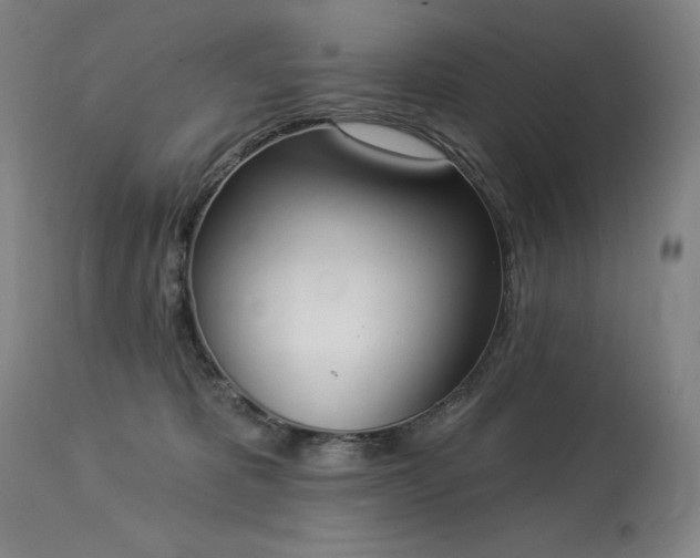 X0000114000325200910021322