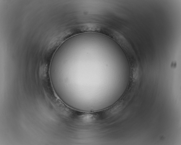 X0000114000326200910021322
