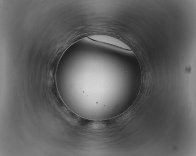 X0000114000327200910021322