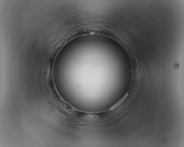X0000114000328200910021322