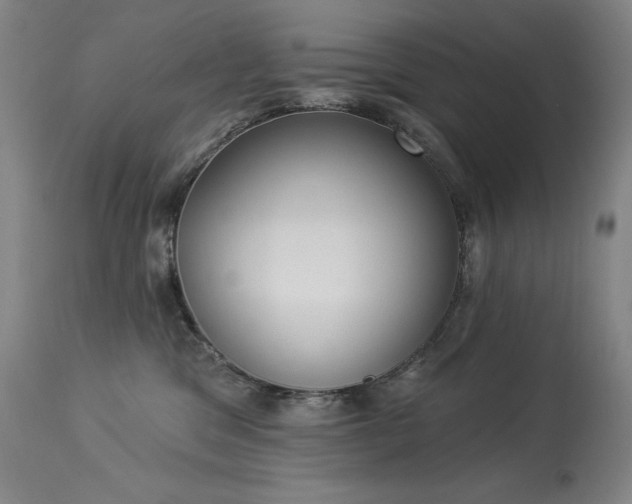 X0000114000329200910021322