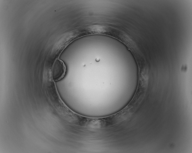 X0000114000330200910021322