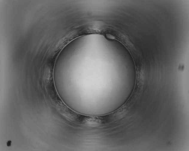 X0000114000331200910021322