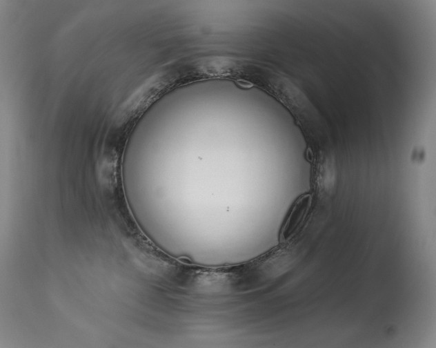 X0000114000332200910021322
