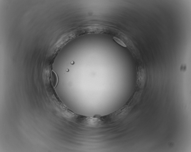X0000114000333200910021322