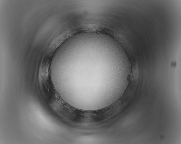 X0000114000334200910021322