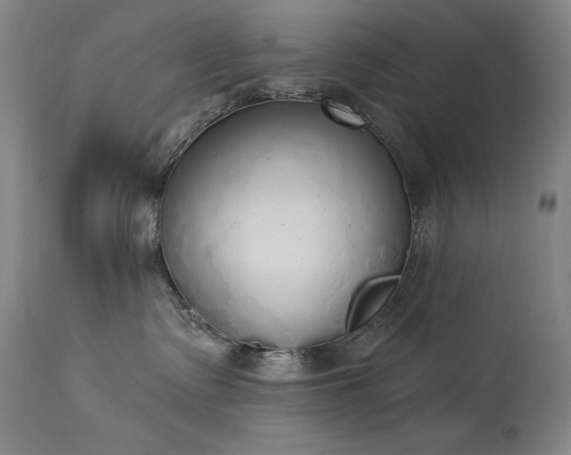 X0000114000335200910021322