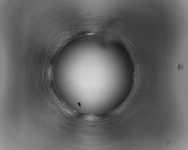 X0000114000336200910021322
