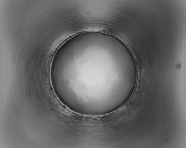 X0000114000337200910021321