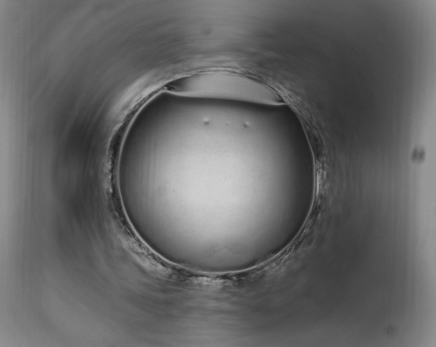X0000114000339200910021321