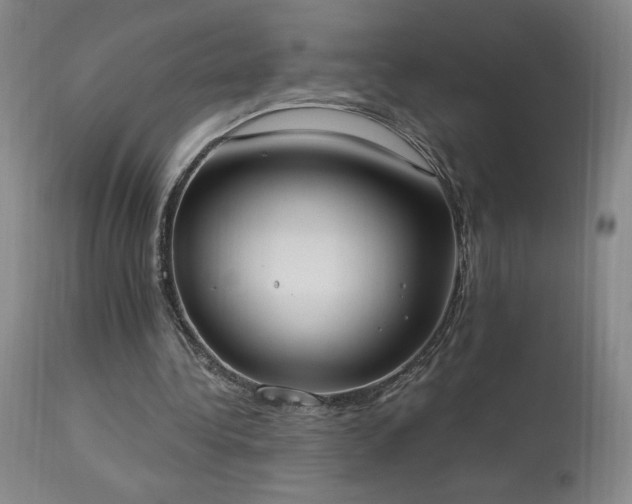 X0000114000340200910021321