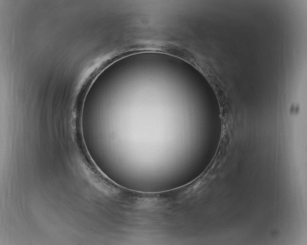 X0000114000342200910021321