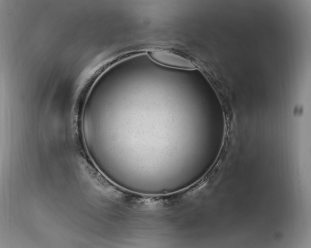 X0000114000343200910021321