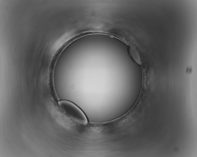 X0000114000344200910021321