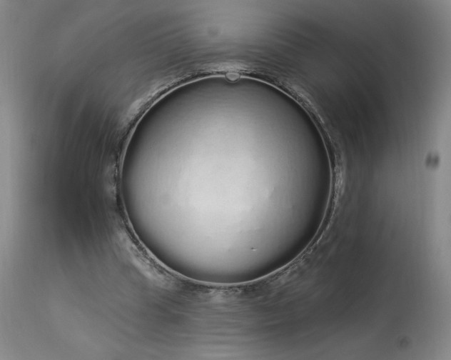 X0000114000345200910021321
