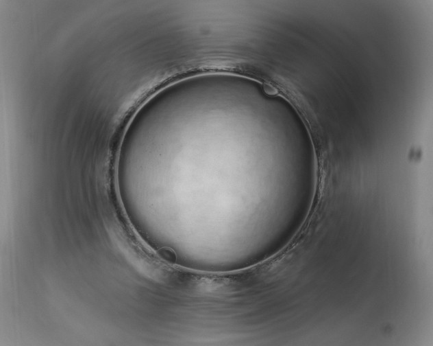 X0000114000346200910021321
