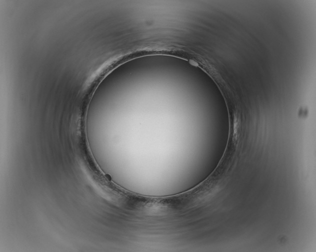 X0000114000348200910021321