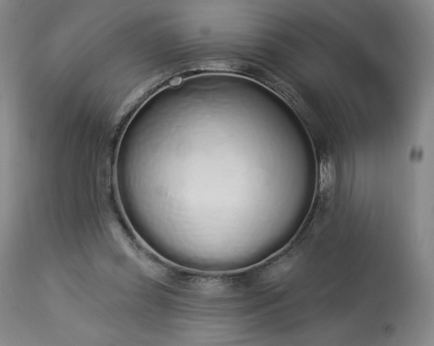 X0000114000349200910021321