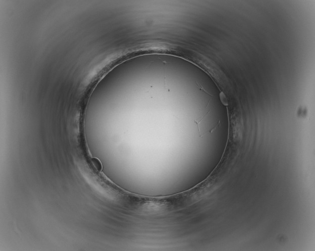 X0000114000350200910021321