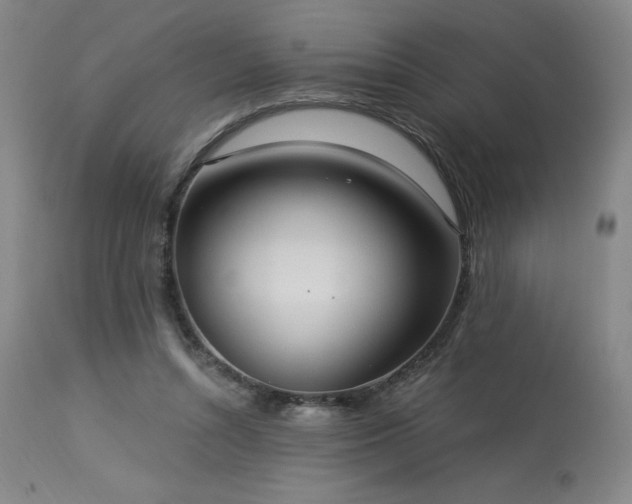 X0000114000352200910021321