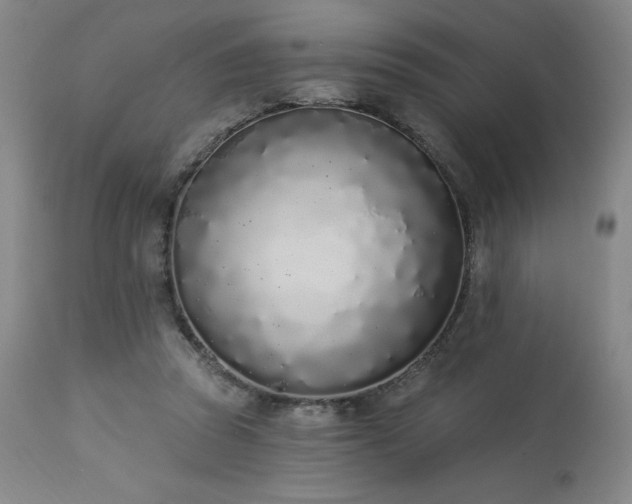 X0000114000353200910021321