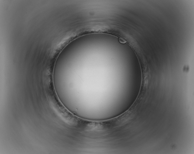 X0000114000354200910021321