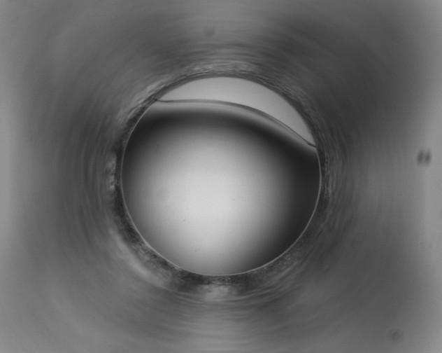 X0000114000356200910021321