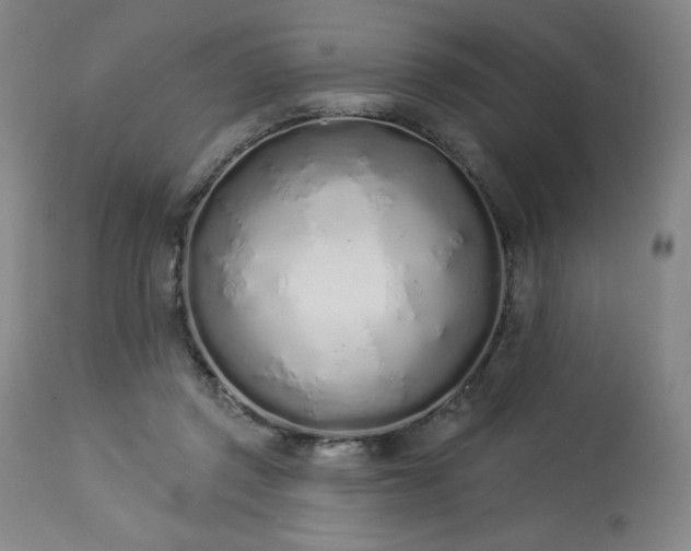 X0000114000357200910021321