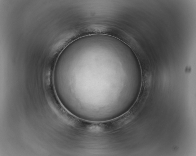 X0000114000358200910021321