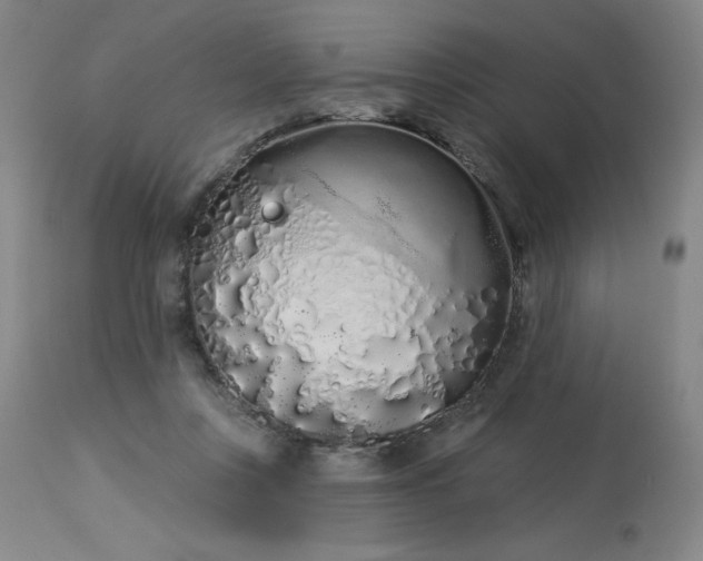 X0000114000359200910021322