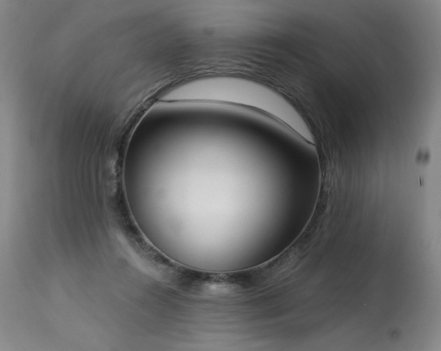 X0000114000360200910021322