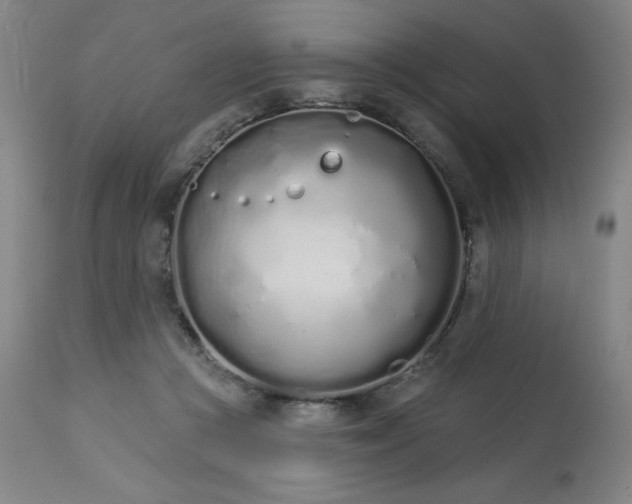 X0000114000361200910021322