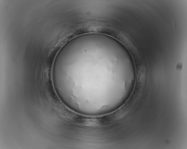 X0000114000363200910021322