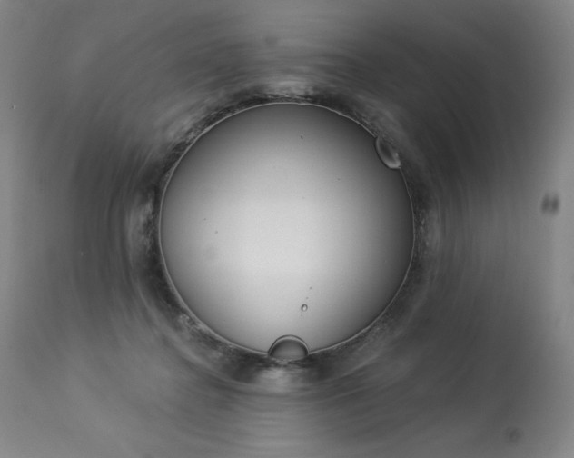 X0000114000364200910021322