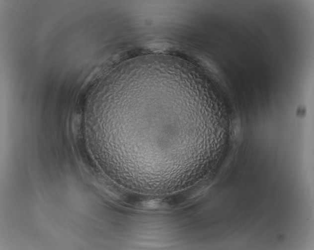 X0000114000365200910021322
