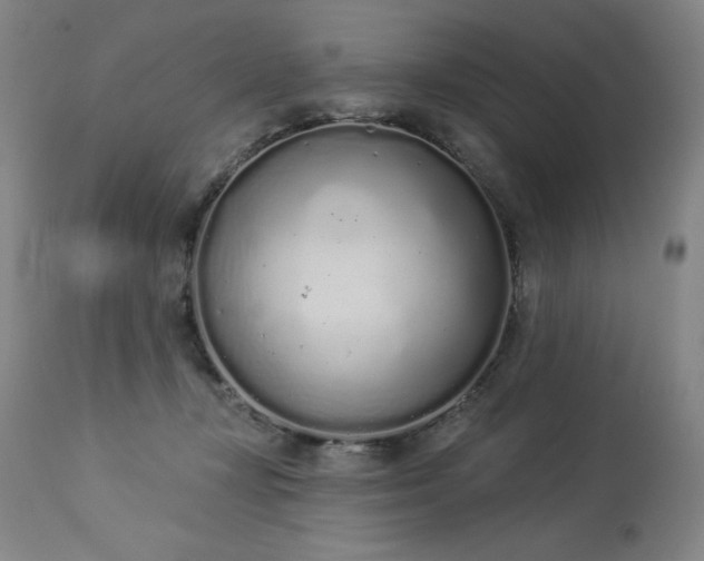 X0000114000367200910021322