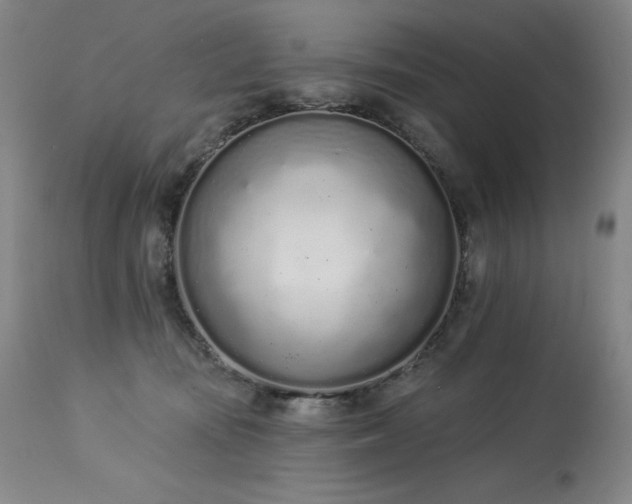X0000114000371200910021322