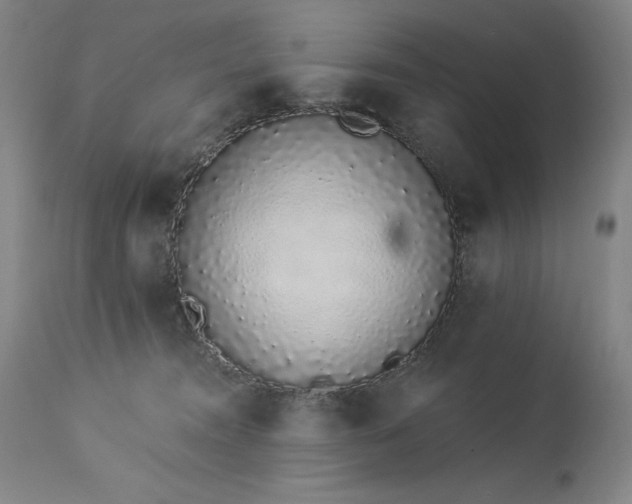 X0000114000372200910021322