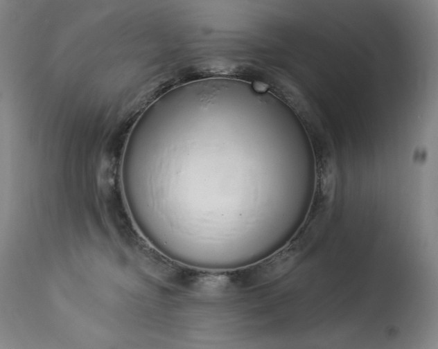 X0000114000374200910021322