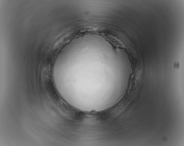 X0000114000376200910021322